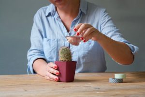 Opere Geniali: Coltiva le passioni e la creativita